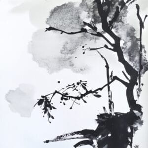 79593-2D素材